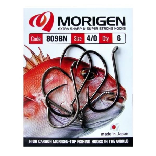   MORIGEN AD 809 HOOKS